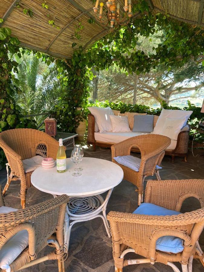B&B Villa Il Poggetto Venturina Terme Exteriér fotografie