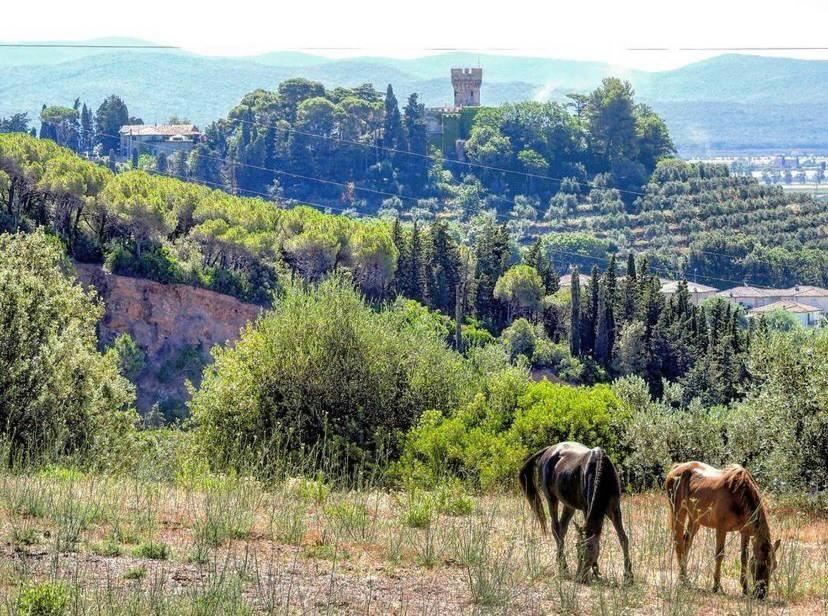 B&B Villa Il Poggetto Venturina Terme Exteriér fotografie