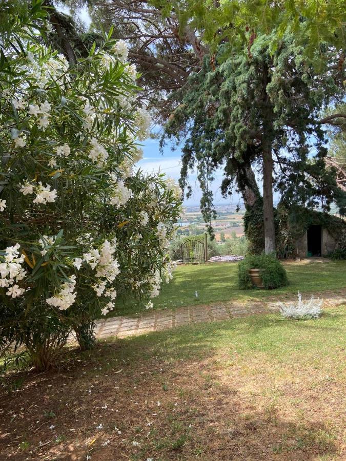 B&B Villa Il Poggetto Venturina Terme Exteriér fotografie