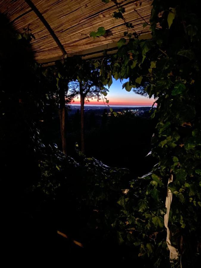 B&B Villa Il Poggetto Venturina Terme Exteriér fotografie