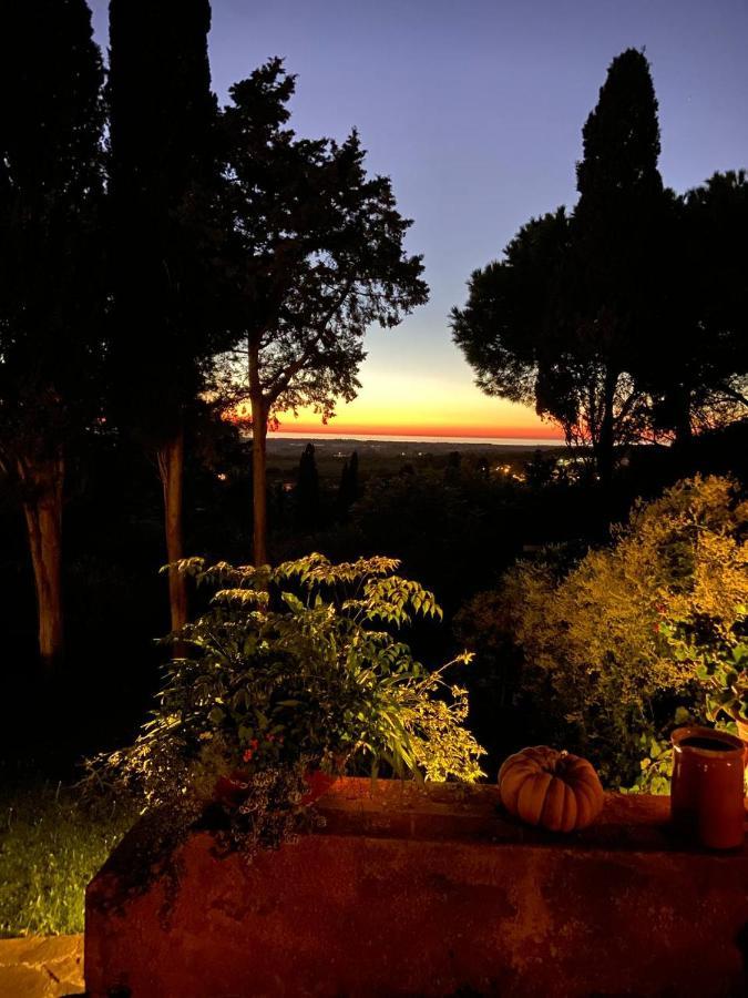 B&B Villa Il Poggetto Venturina Terme Exteriér fotografie