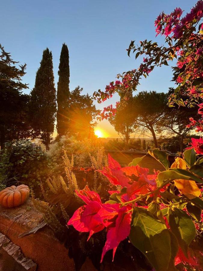 B&B Villa Il Poggetto Venturina Terme Exteriér fotografie
