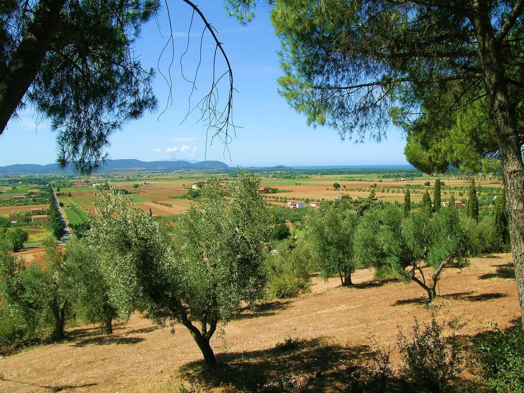 B&B Villa Il Poggetto Venturina Terme Exteriér fotografie