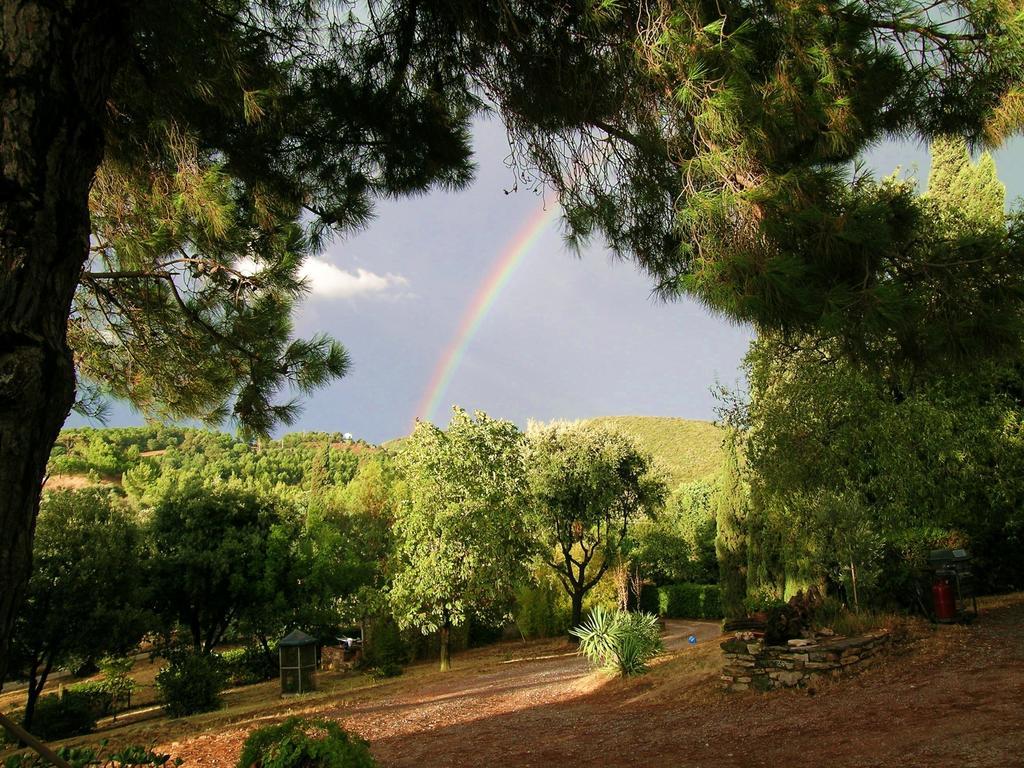 B&B Villa Il Poggetto Venturina Terme Exteriér fotografie